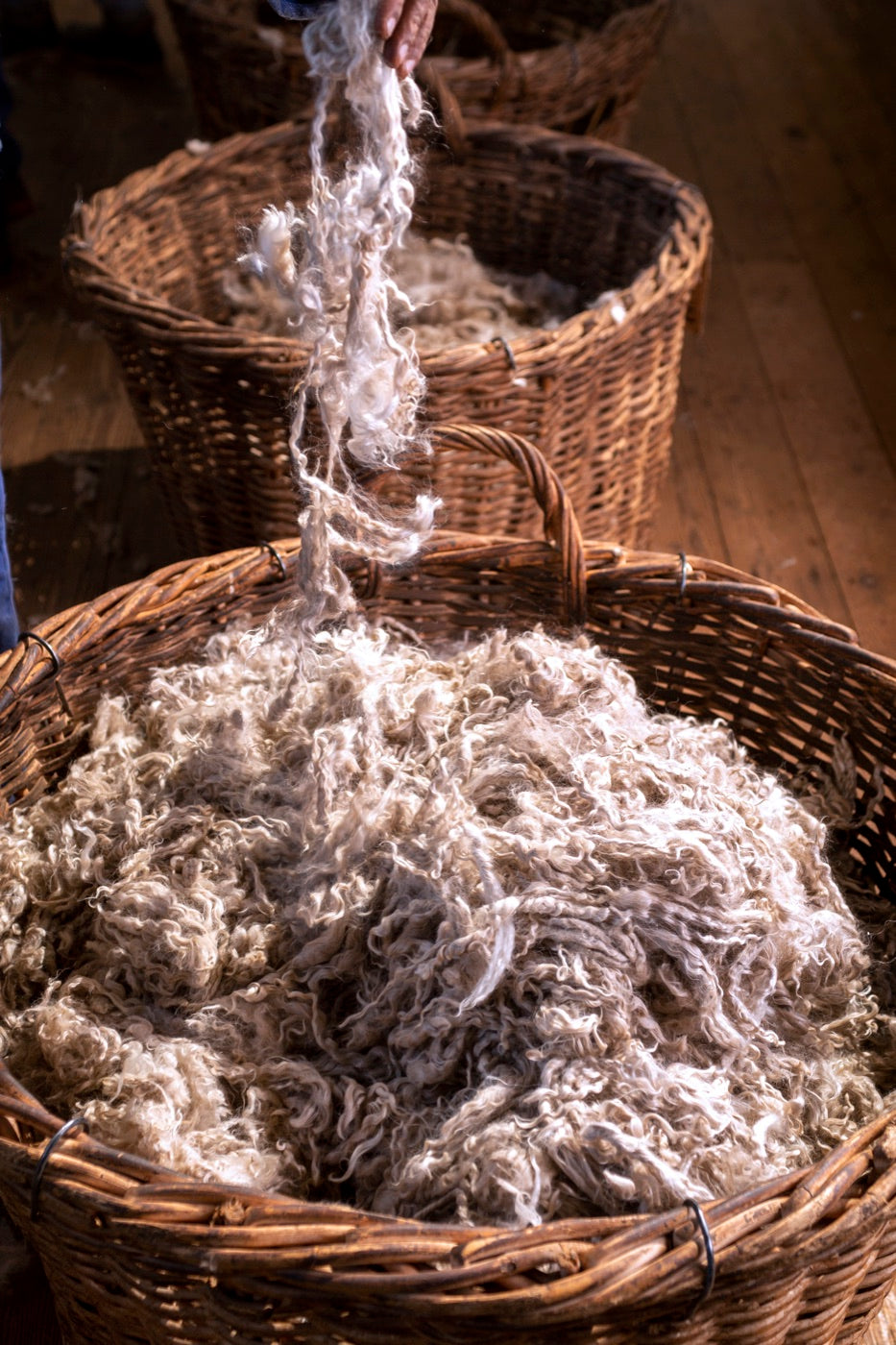 Raw kid mohair fibre close-up